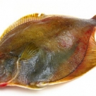 Рыба Камбала н/р б/б с/м (*22кг)